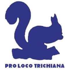 Pro Loco Trichiana